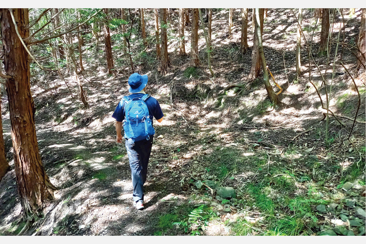 のせでん水無月ハイキング 6月15日（土）開催。いにしえの買い出し道を辿って山下の町へ「旧吉川村から旧山下道・笹部の棚田コース」