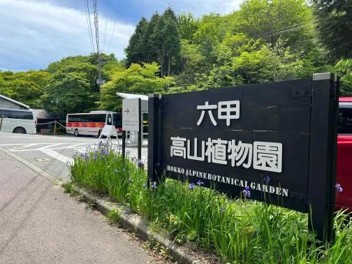 六甲高山 西入口