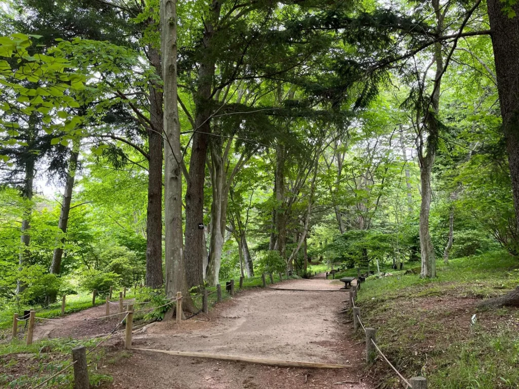 六甲高山植物園　樹林区