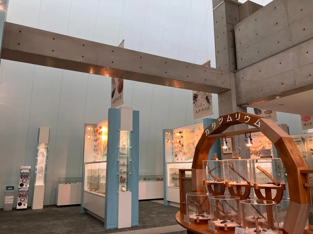 西宮市貝類館 安藤忠雄建築