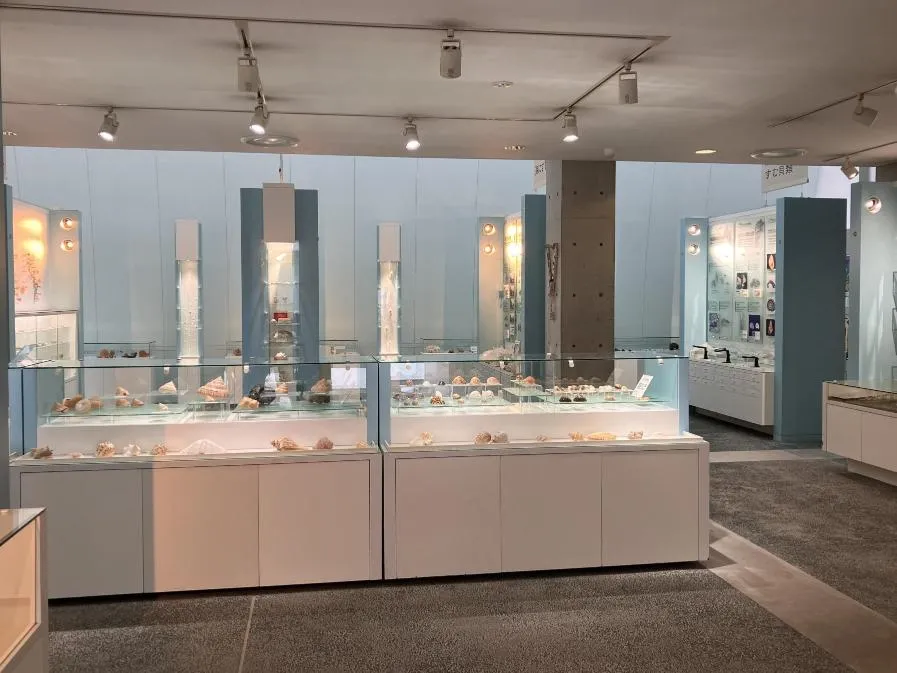 西宮市貝類館 安藤忠雄建築