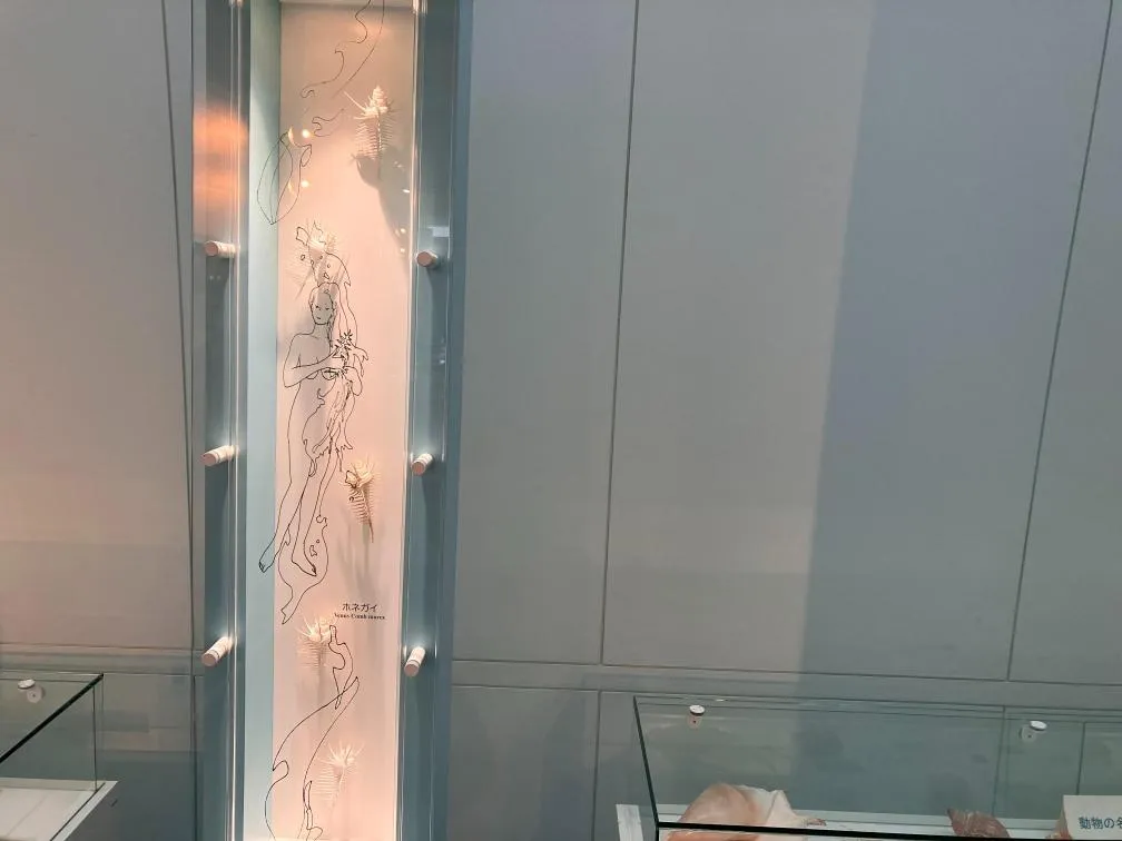 西宮市貝類館 安藤忠雄建築