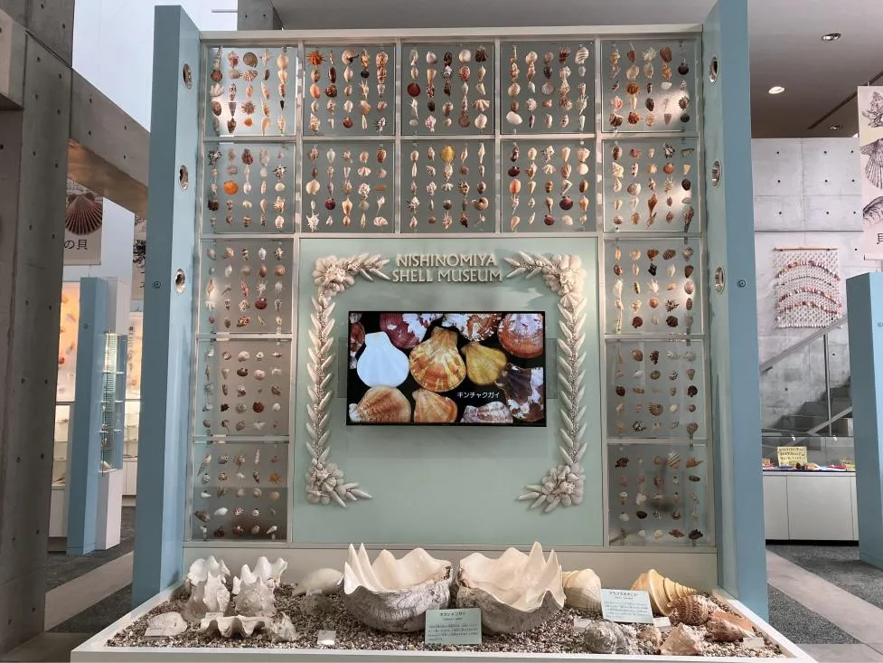 西宮市貝類館 エントランス