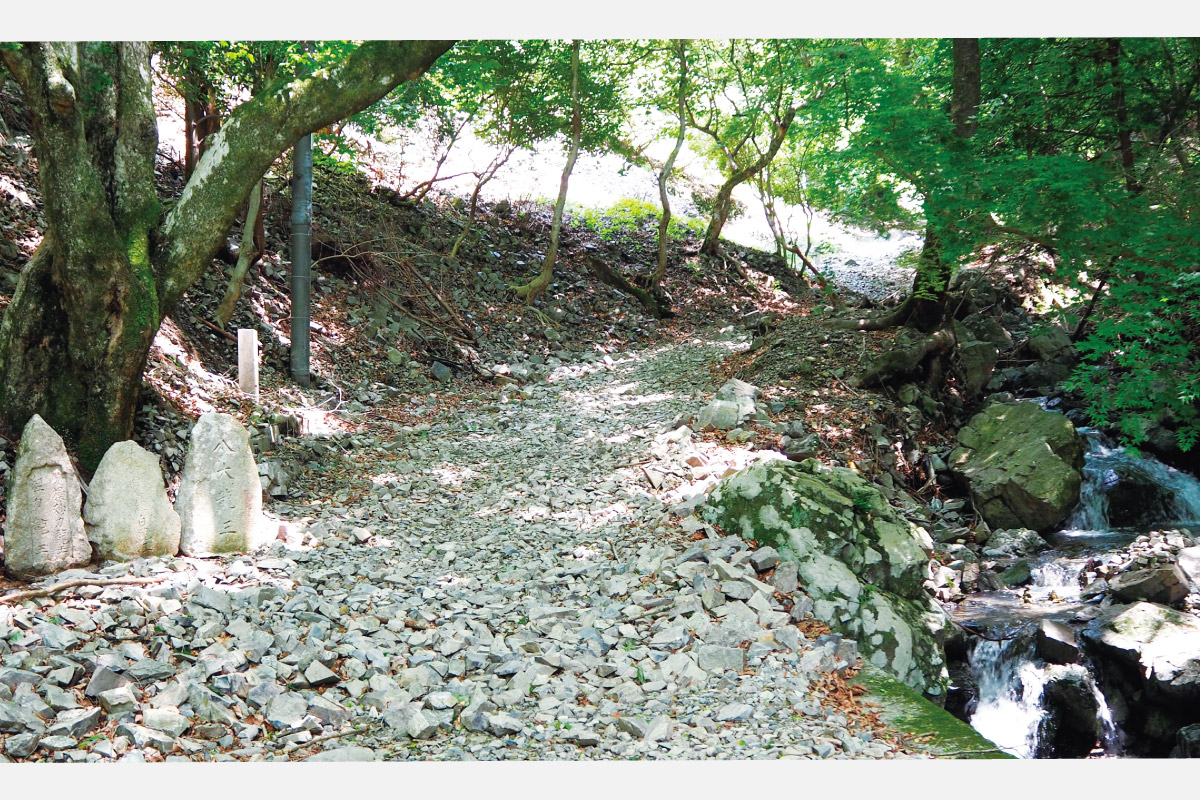 のせでん山の日ハイキング、8月11日（祝）開催！妙見山に登ろう！新滝道から能勢妙見山・大堂越コース