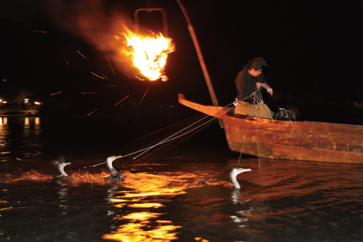 伝統的な漁法を船上から鑑賞。京都・嵐山の鵜飼・乗合船、9月23日（休）まで