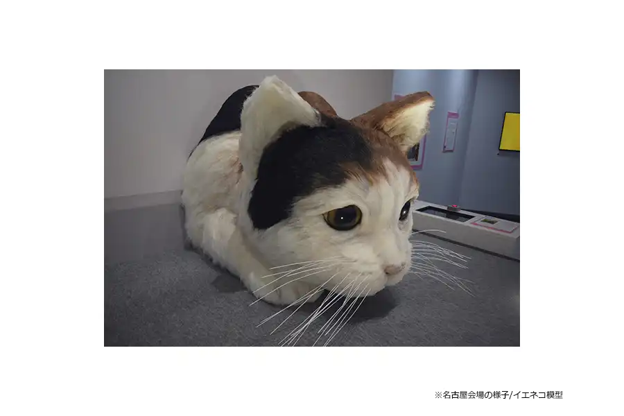 【プレゼントあり】ネコ科動物大集合！大阪市立自然史博物館にて　特別展「ネコ」 ～にゃんと！クールなハンターたち～ 9月23日まで開催