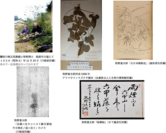 牧野の足あとの展示内容