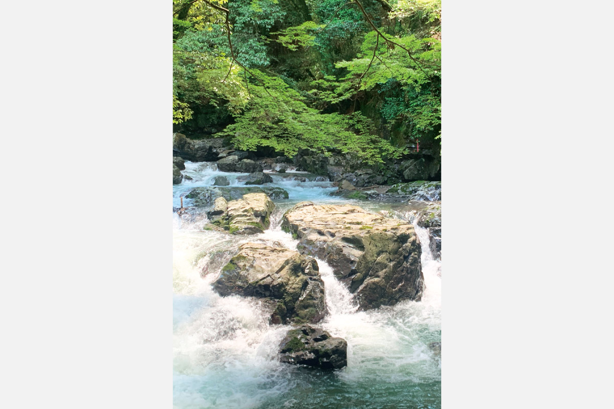 高槻市営バス70周年×阪急ハイキング90周年記念ハイキング 9月1日（日）開催！茨木の低山を歩いてみよう「総持寺から武士（もののふ）自然歩道・摂津峡コース」