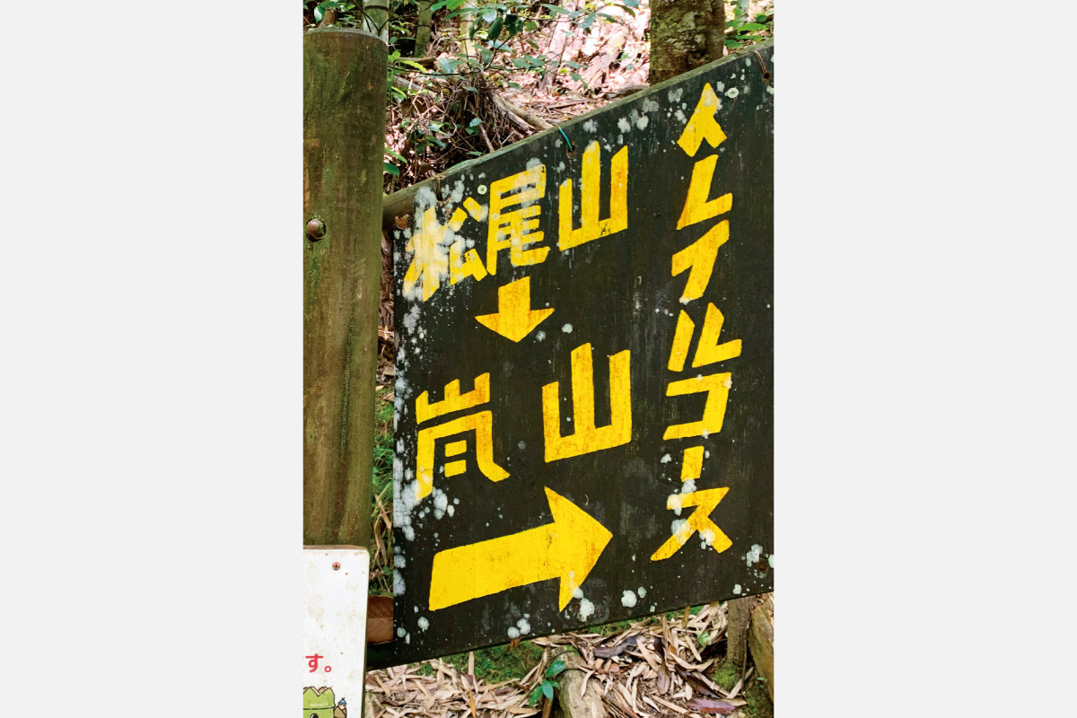 京都一周トレイル道を歩こう！阪急ピークハントハイキング（2）9月11日（水）開催！「松尾山275・嵐山コース」