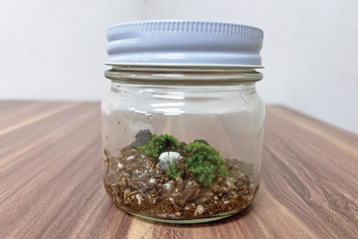 苔テラリウムづくりに挑戦！ウオーキングイベント「阪急沿線観光あるき 五月山コース 」10月10日（木）開催