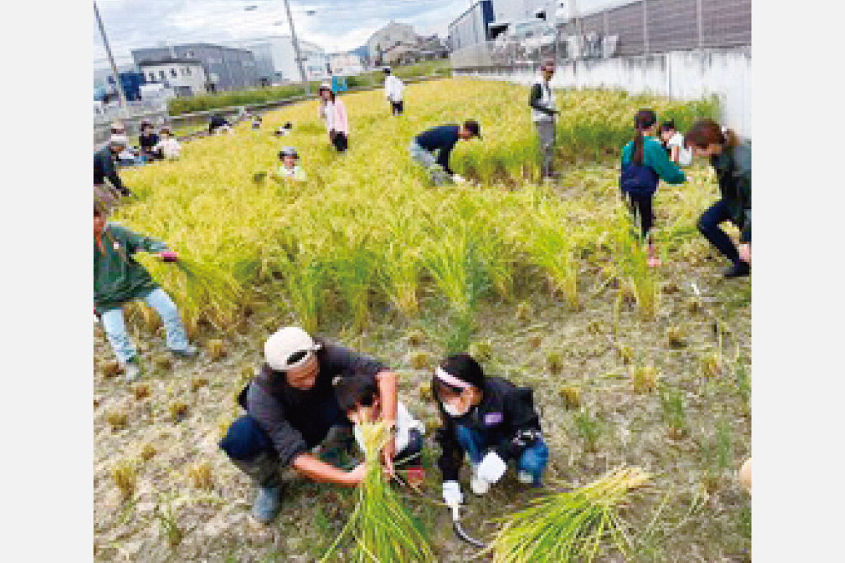 【園北ファーム】「阪急阪神 未来のゆめ･まちプロジェクト」助成団体活動紹介