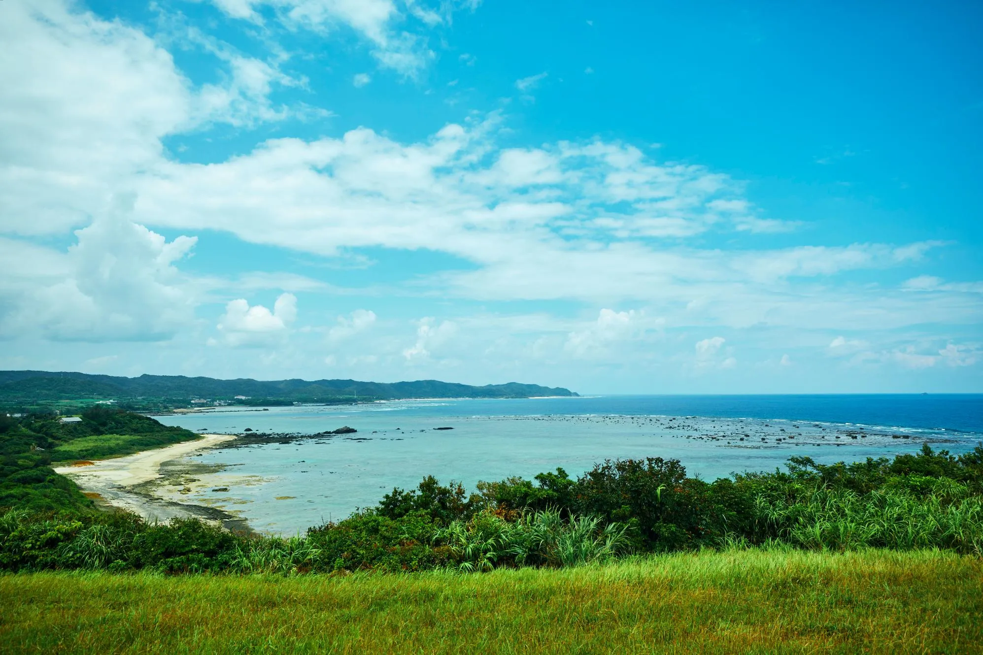 スカイマークで行く！鹿児島県の奄美大島。豊かな自然にであえる癒やしの離島へ