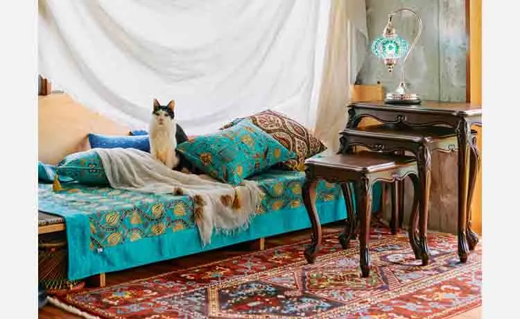 【阪急うめだ本店】トルコのフードやライフスタイル雑貨がいっぱい！「ときめくトルコ2024」開催