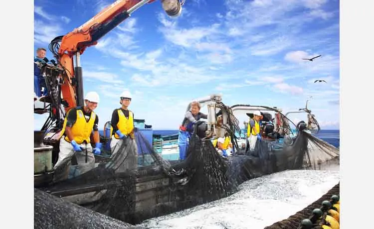 【漁師さんのお仕事を体験！】京都府がこども向け漁業体験の参加者を募集中