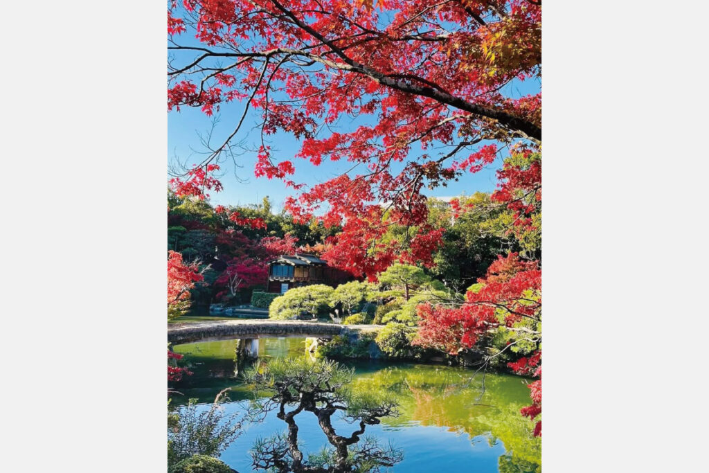 相楽園の紅葉