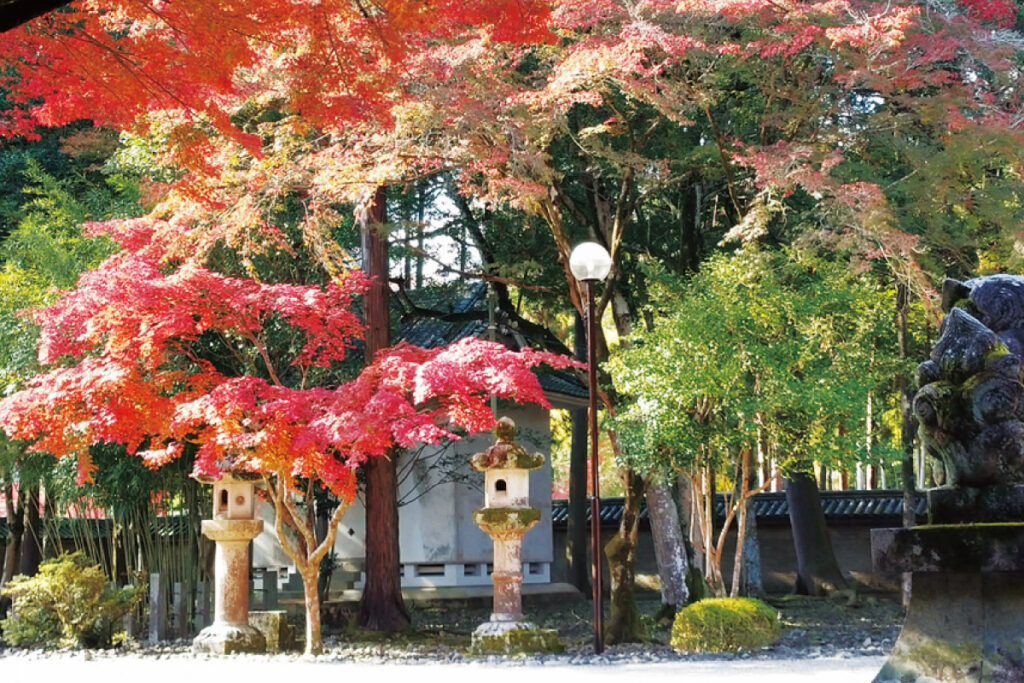 多田神社の紅葉