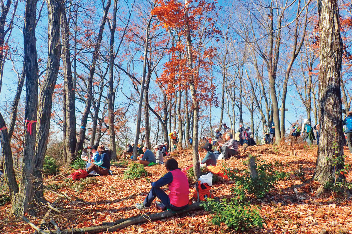 のせでん晩秋ハイキング11月30日（土）開催！見ごろを迎えた北摂里山の秋を堪能する「一庫ダム・雨森山・伏見池公園コース」