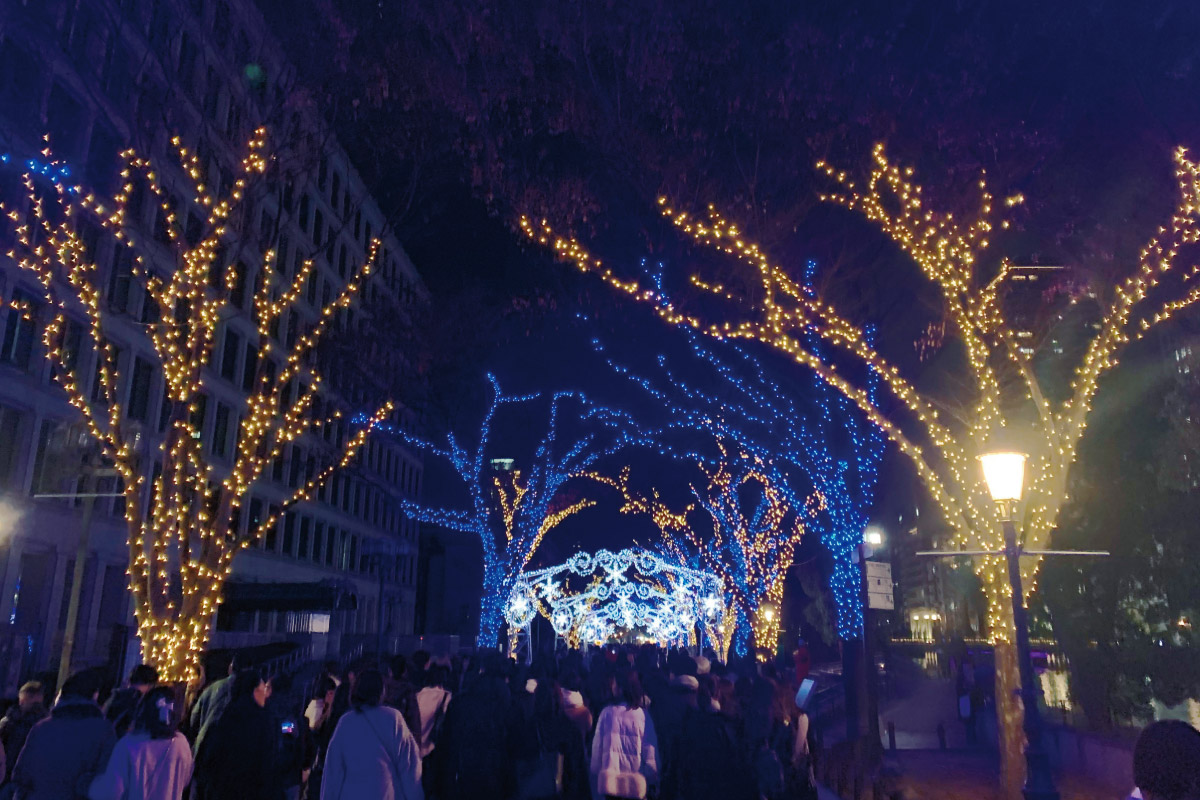阪急ナイトハイキング12月8日（日）開催！イルミネーション輝く御堂筋を歩こう「グラングリーン大阪から靭公園・御堂筋コース」