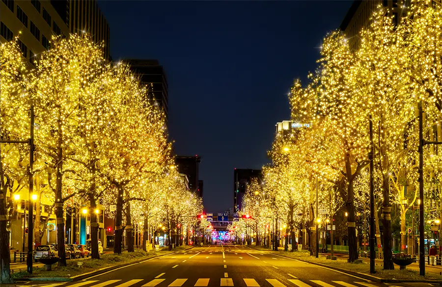 大阪・光の饗宴2024の様子