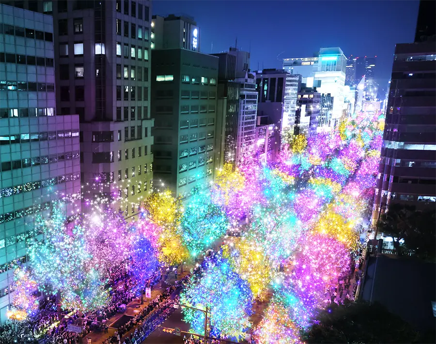 【大阪・光の饗宴2024】御堂筋イルミネーション2024は2024年12月31日まで開催！