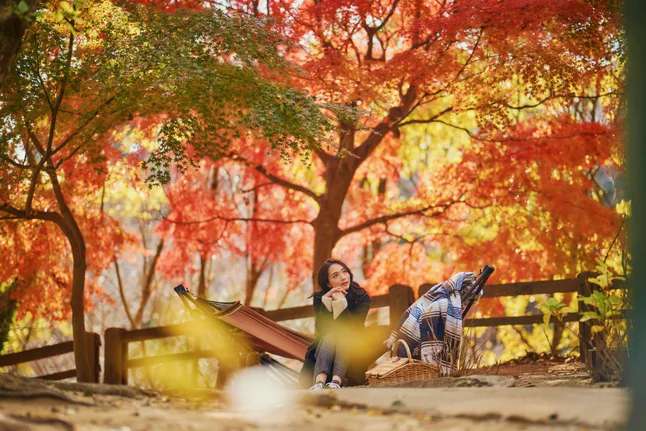 神戸の「布引の紅葉」が間もなく見頃に。「神戸クリスマスマーケット2024 -古城のクリスマス-」も開催中！