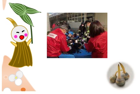 「吹田くわい」の収穫祭を開催。吹田津雲台郵便局前で12月9日（月）に。