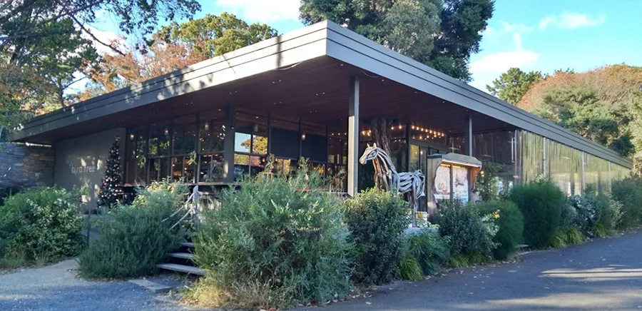 バードツリー 外観