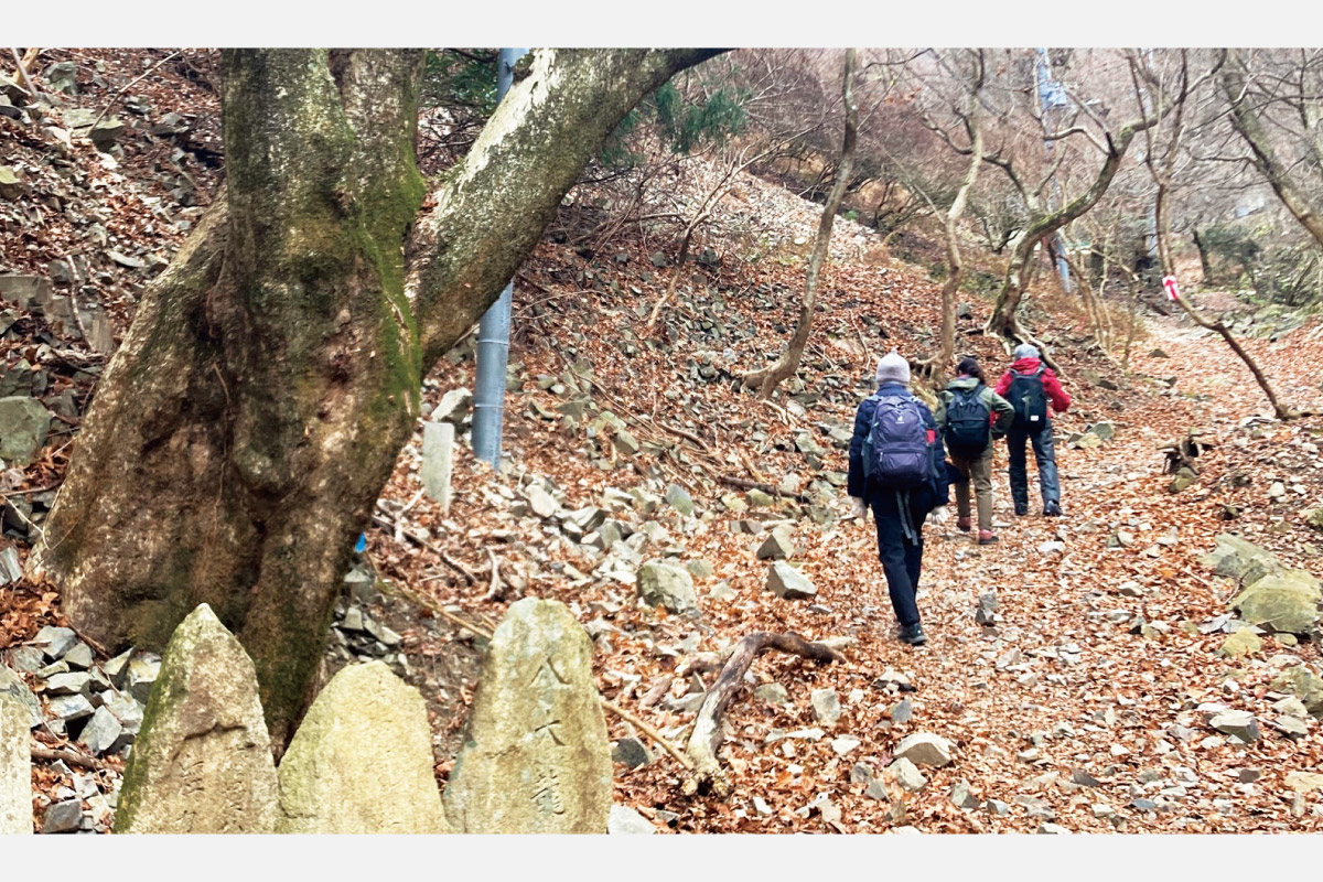 2025年1月3日（金）開催！のせでん お正月ハイキング「新滝道から能勢妙見山・上杉尾根コース」