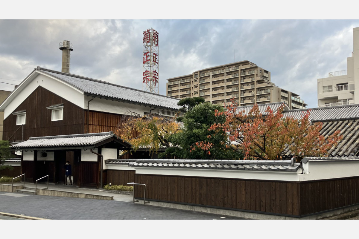 菊正宗で乾杯！弓弦羽（ゆずるは）神社から菊正宗酒造記念館を歩くウオーキングイベント、2025年1月13日（祝）開催！