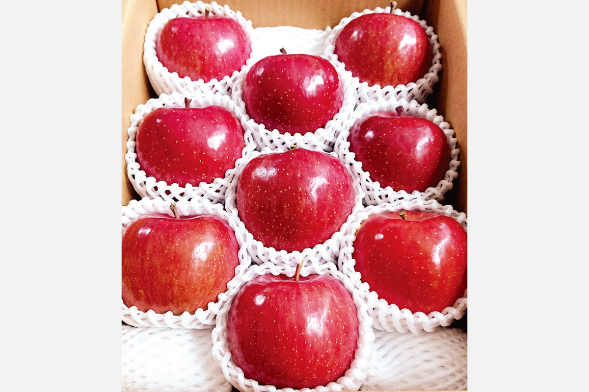 市場で手に入りづらいプレミアムなりんご。青森県産の旬の果物をSポイントと交換！交換受付日：2月3日（月）まで