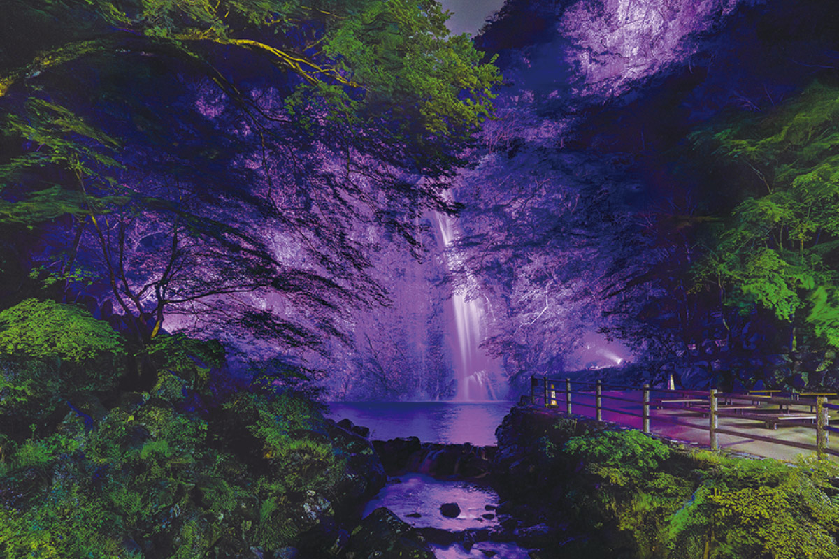 きらめく冬の箕面を楽しもう「箕面の森Winterプロムナード2025」2月8日（土）～3月9日（日）開催