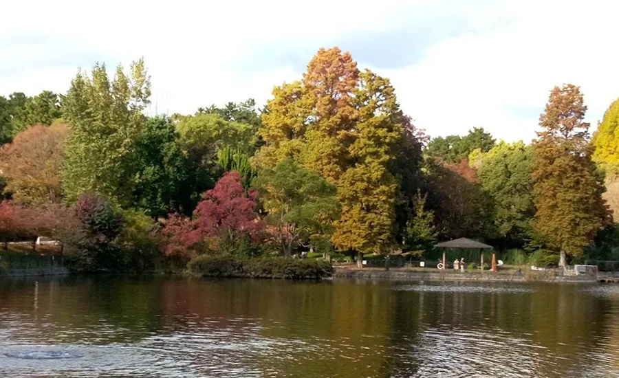 「千里南公園」は吹田市にある市民憩いの公園。遊具やカフェなど見どころ多数