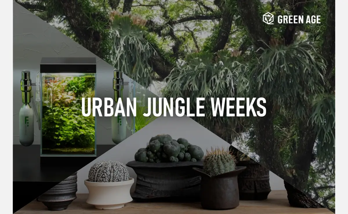 4/30～5/20植物の美しさに触れる。阪急うめだ本店『URBAN JUNGLE WEEKS』開催