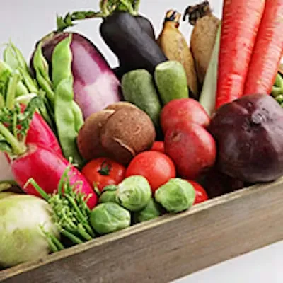 カノビアーノアネックス