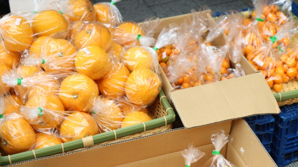 「吹田元気農家とハピスマ朝市」に並ぶ柑橘