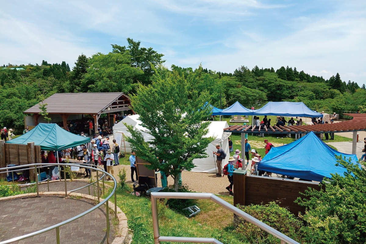 第42回 六甲山の夏山びらき・グルーム祭に参加する「油コブシから六甲山上コース」6月7日（土）開催