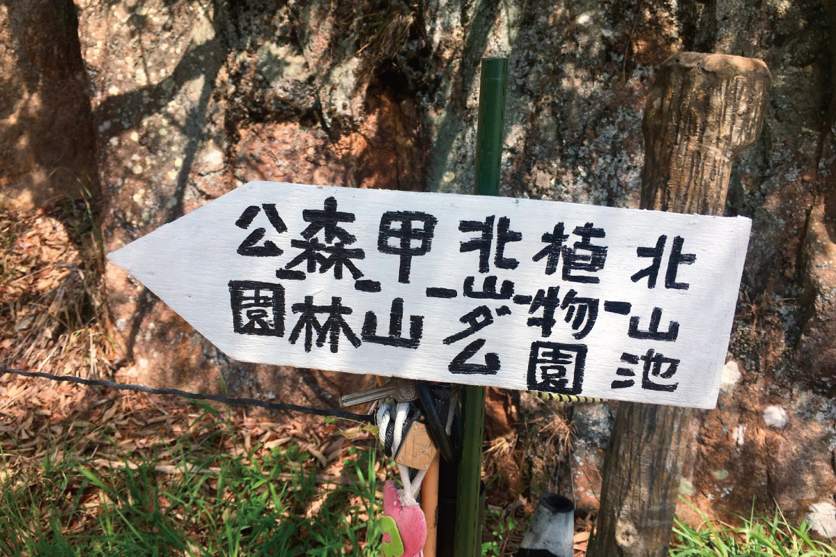 阪急沿線花巡りウオーキング！「夙川紫陽花ロードから北山池・北山緑化植物園コース」6月28日（土）開催