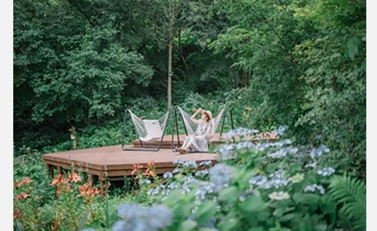 ６/21～、六甲山で「SIKIガーデンSummer Season」開催