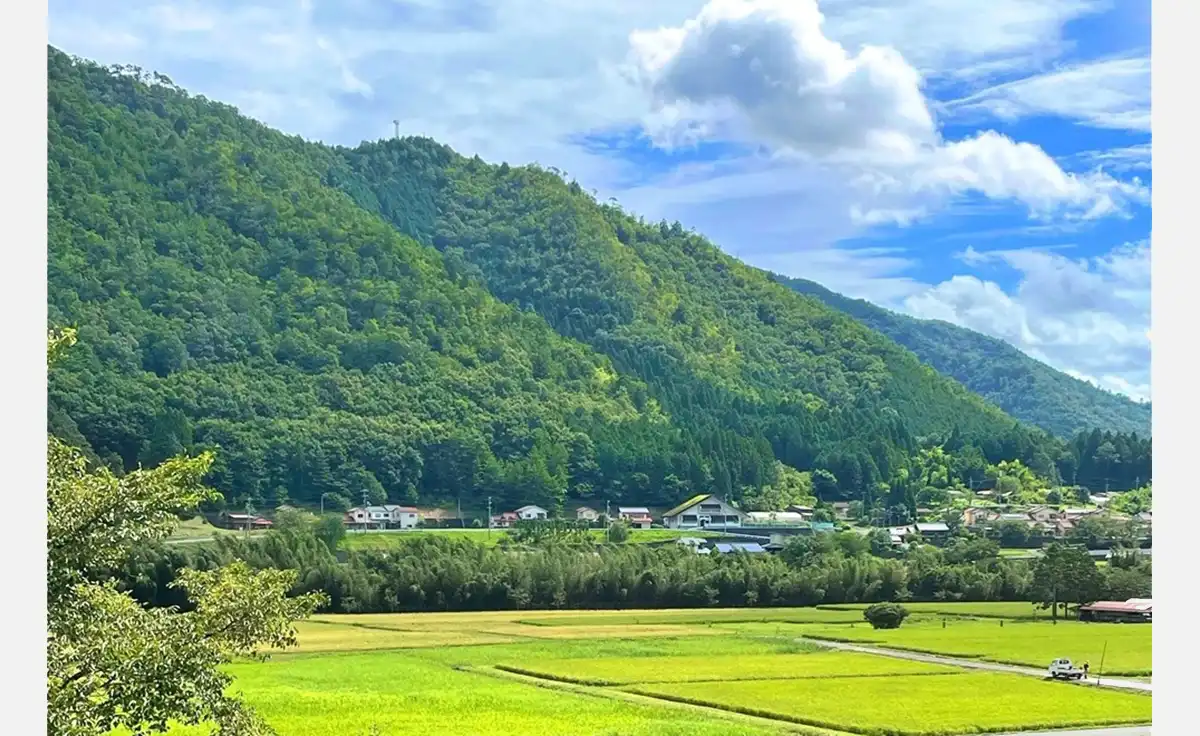 6/6～、京都美山「THYME」で龍村美術織物展「温故知新―Creating new by weaving the past―」開催