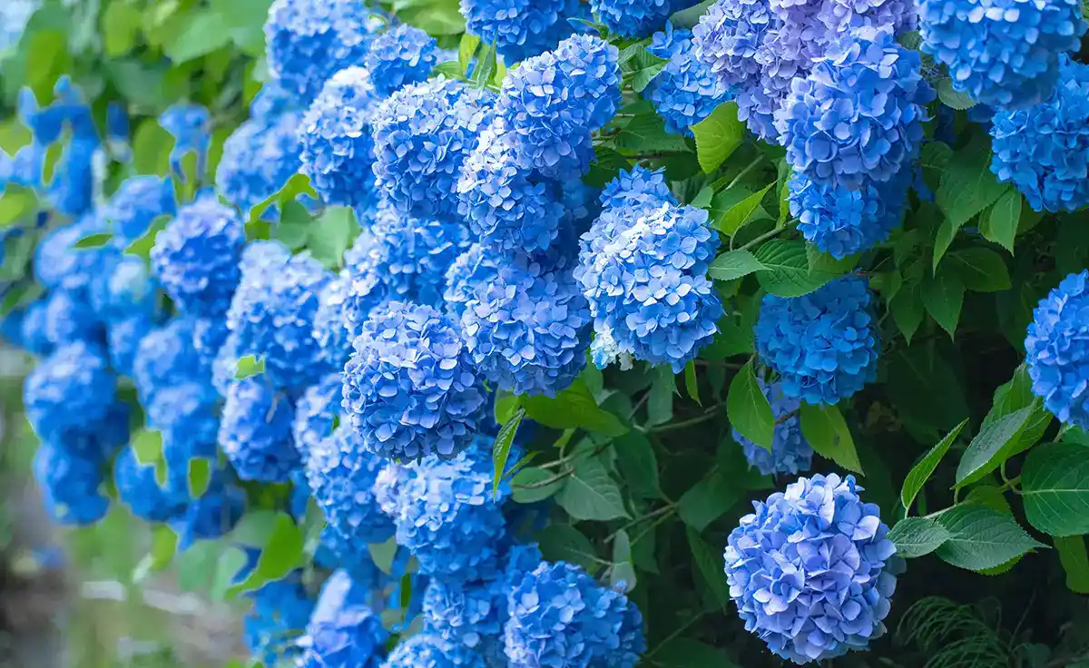 吹田TOKK検定にチャレンジしよう！ あなたは何問正解できるかな？ 【第4回】