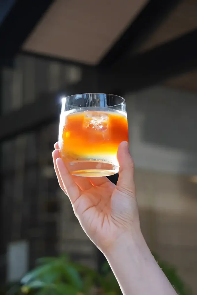 TERRA COFFEE ROASTERS 江坂公園roastery アイスコーヒー