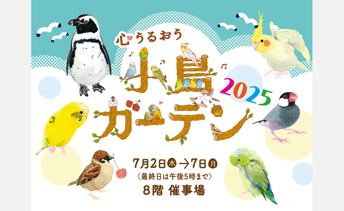 阪神梅田本店で、最大級の小鳥イベント「心うるおう小鳥ガーデン 2025」開催