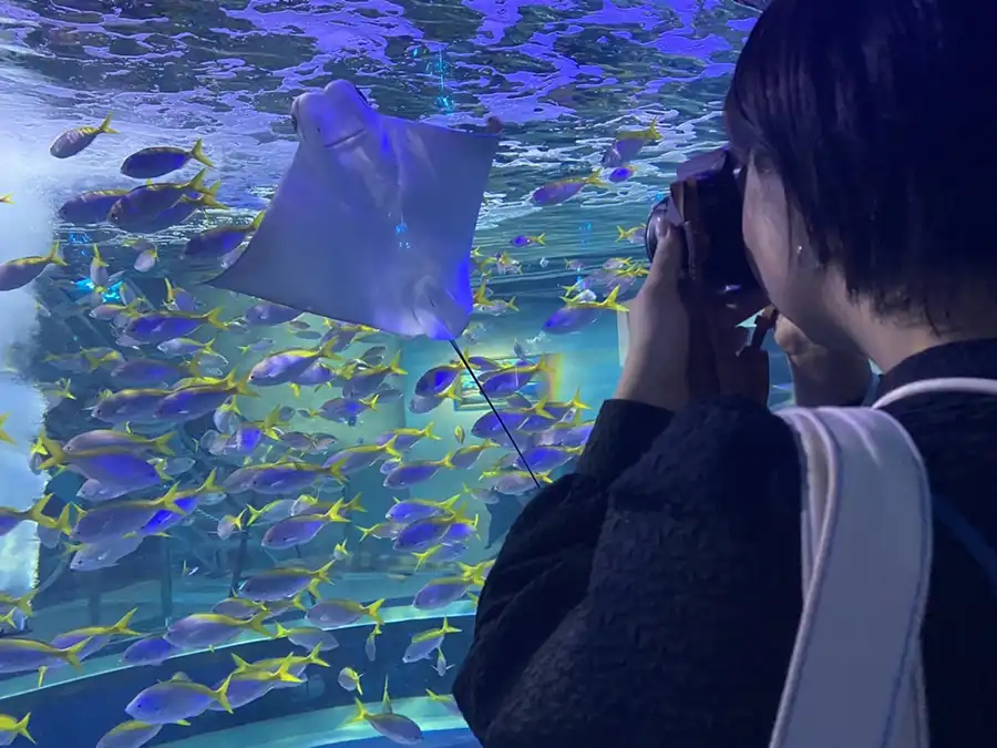 ライター ペンギンゲッコー