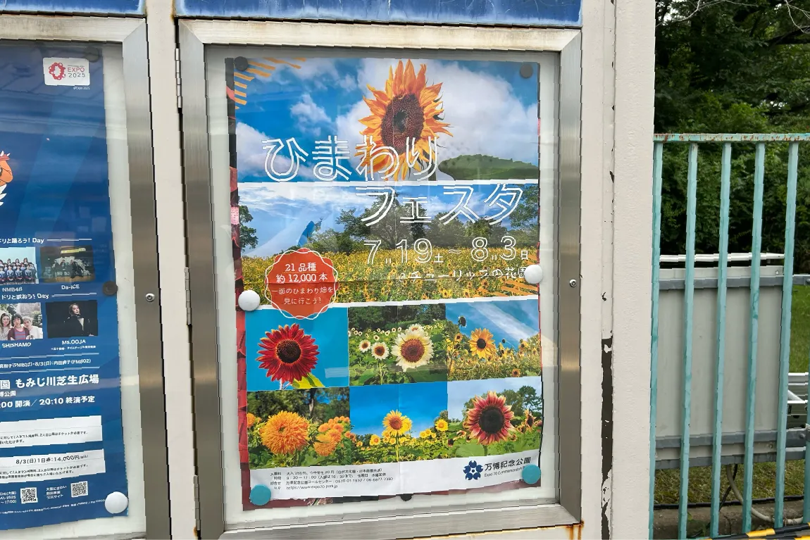 吹田市「万博記念公園」にて、8月3日（日）まで「ひまわりフェスタ」を開催中。約12,000本ものひまわりに出合えます