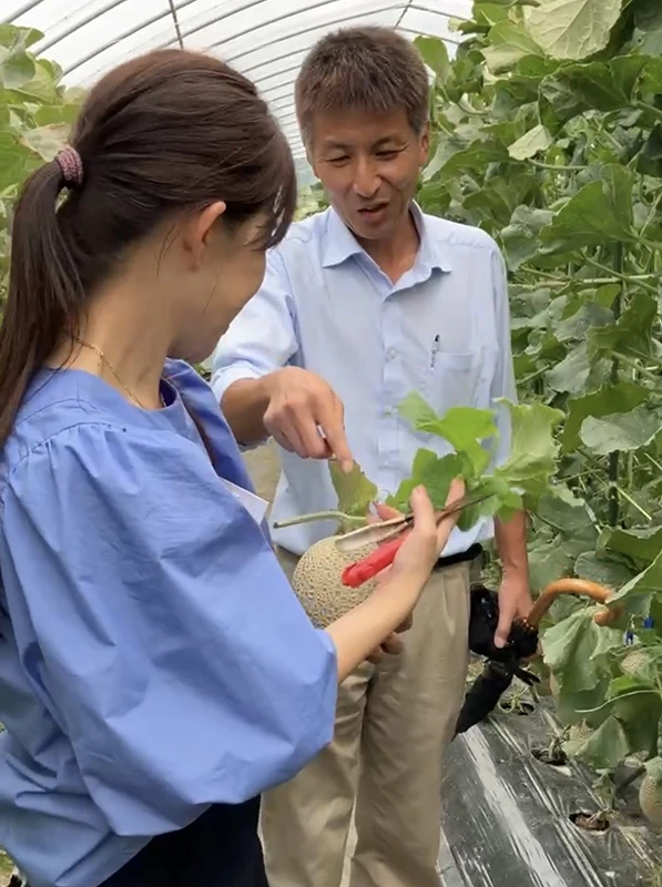 季節の堂島ロール　モンシェール