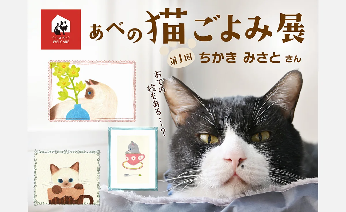 保護猫施設「ホーリーハウス」でチャリティー作品展「あべの 猫ごよみ展」開催