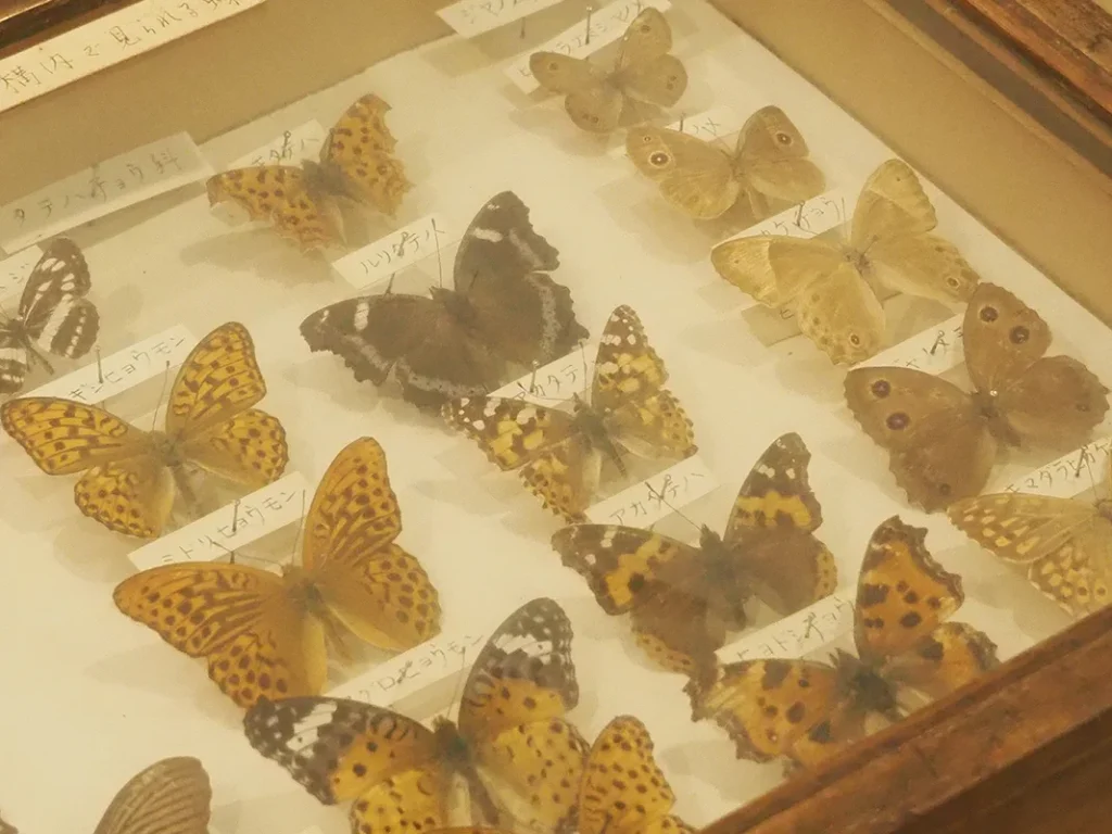 大学の宝物 2025夏