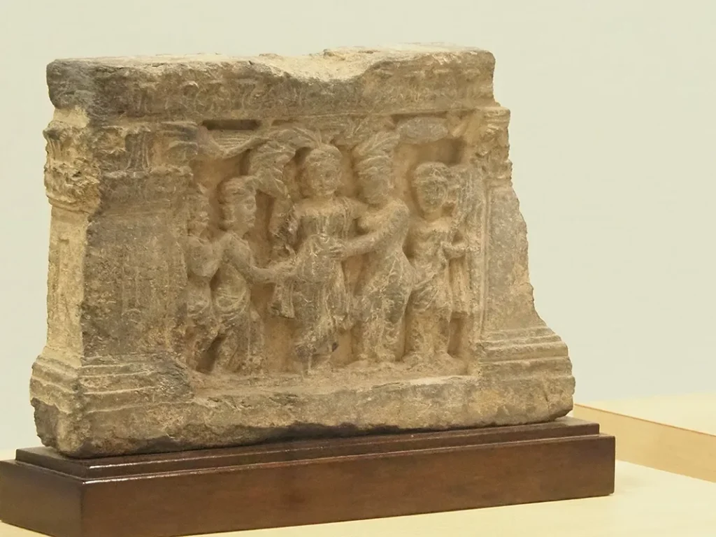 大学の宝物 2025夏