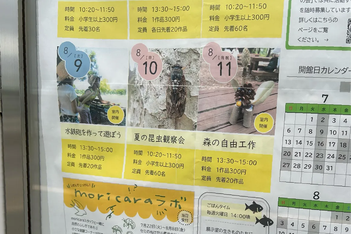 吹田市「自然観察学習館 moricara」で8月10日（日）『夏の昆虫観察会』など、夏休みにぴったりなイベントが目白押し