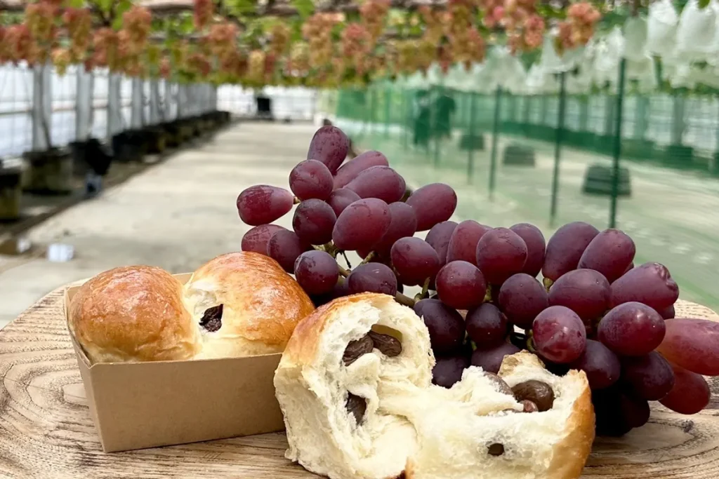 ローザンベリー多和⽥ ぶどう摘み取り体験